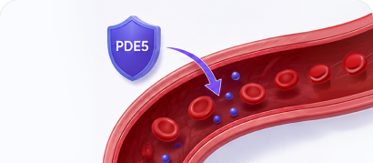 Medication blocks PDE5